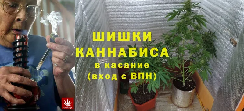 Бошки Шишки White Widow  Ряжск 